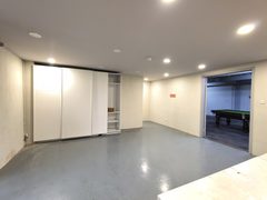 推荐东风艺术区813平精装独院 - 缩略图 9