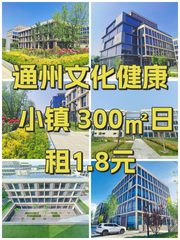 通州文化健康小镇 300㎡日租1.8元 - 缩略图 1