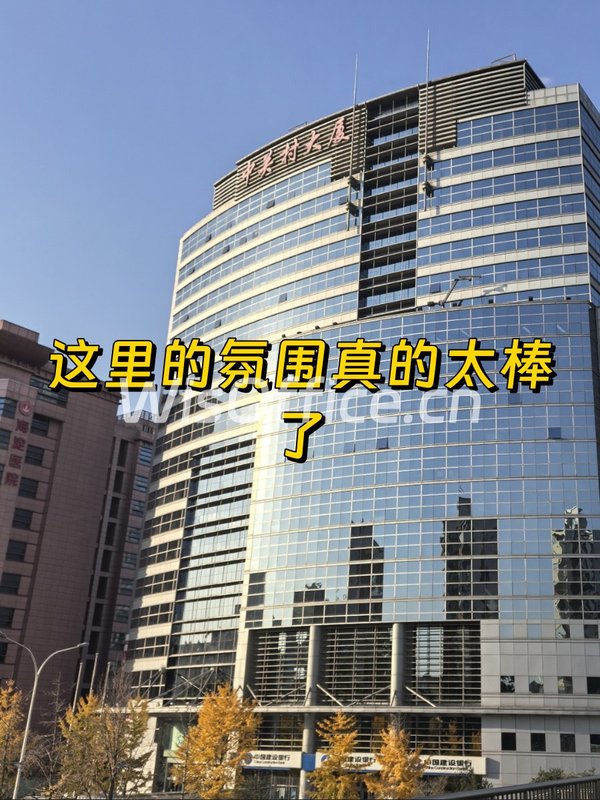 🌆窗边一束光，写字楼里的自然诗篇 - 首图