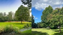 真房｜中关村软件园 |500平｜6元｜环保认证加分？ - 缩略图 15