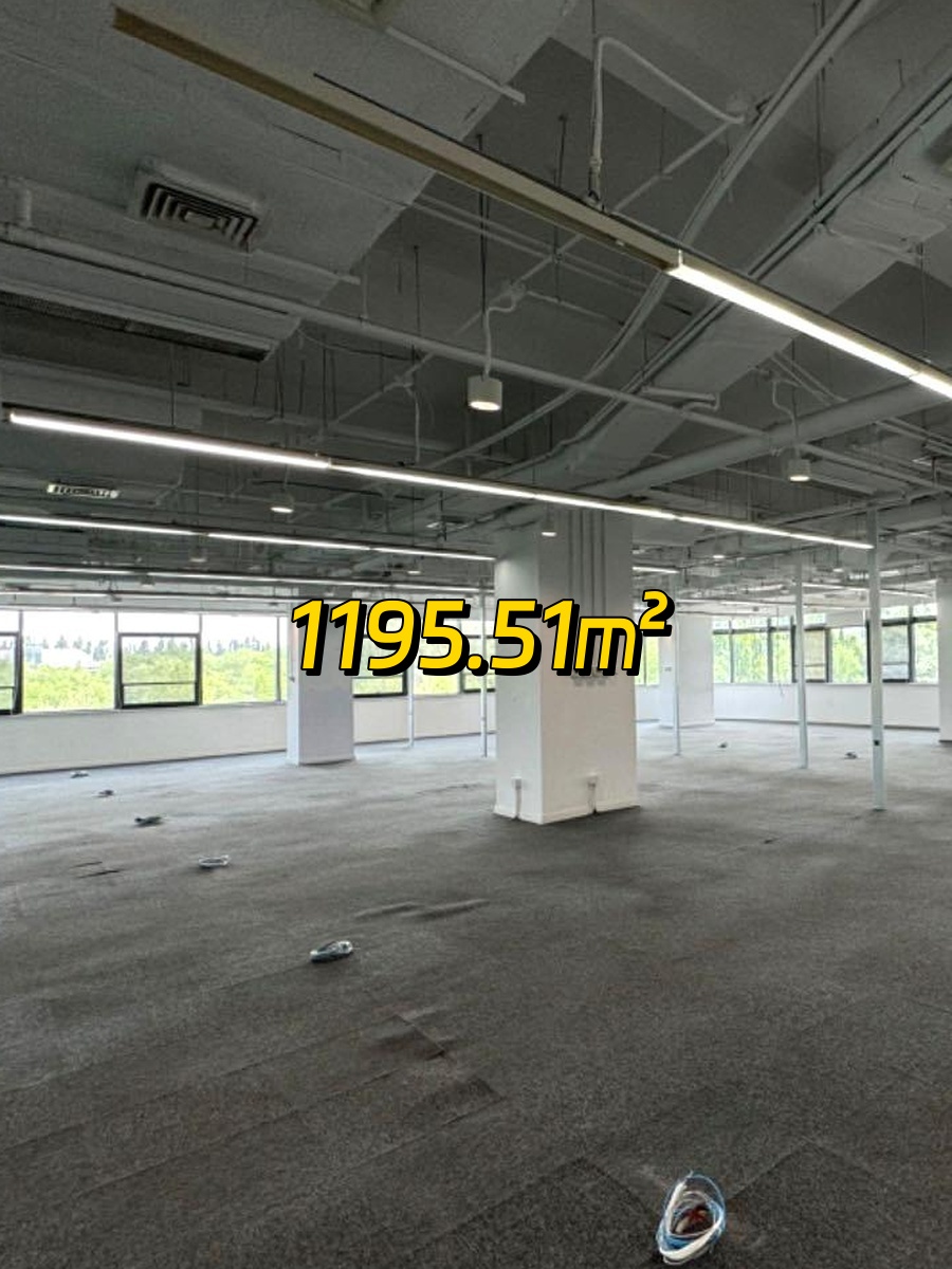 软件园现房 1195㎡ 叶片设计 三面采光