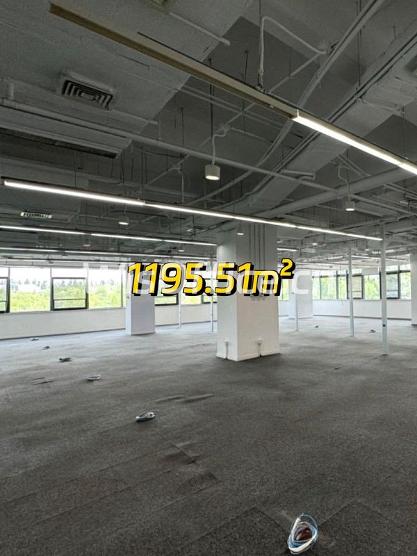 软件园现房 1195㎡ 叶片设计 三面采光 - 首图