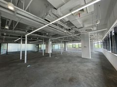 软件园现房 1195㎡ 叶片设计 三面采光 - 缩略图 10