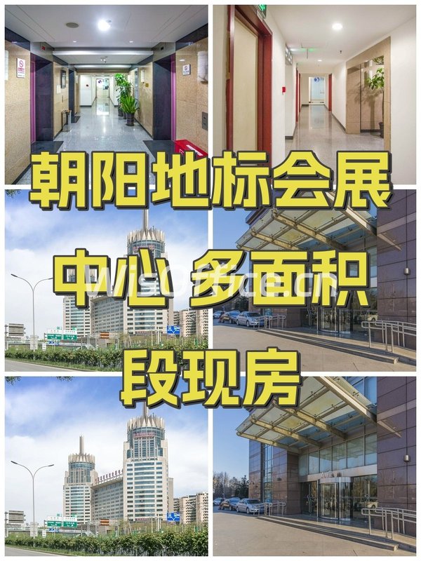 朝阳地标会展中心 多面积段现房 - 首图