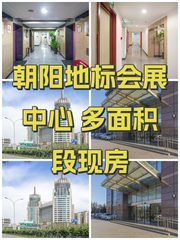 朝阳地标会展中心 多面积段现房 - 缩略图 1