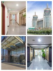 地标建筑 45581㎡ 多面积段可选 - 缩略图 1