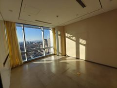 CBD核心区 精装视野好 - 缩略图 12