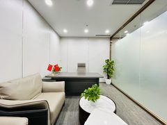 国贸现房 中环世贸 正对电梯 - 缩略图 13