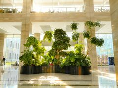 上地办公新发现，面积够大 - 缩略图 3