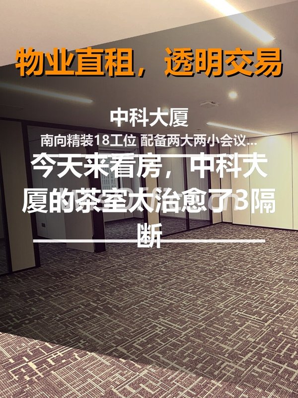 今天来看房，中科大厦的茶室太治愈了 - 首图