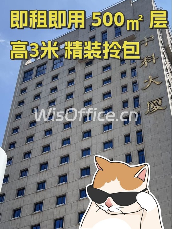 即租即用 500㎡ 层高3米 精装拎包 - 首图