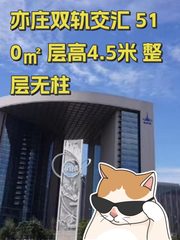 亦庄双轨交汇 510㎡ 层高4.5米 整层无柱 - 缩略图 1