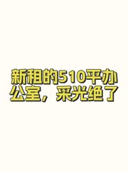 新租的510平办公室，采光绝了 - 缩略图 1