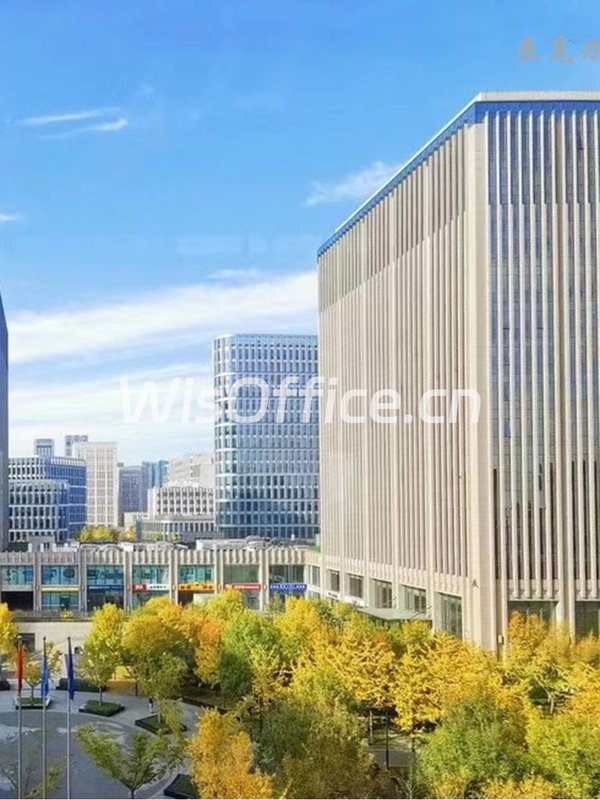 亦庄地标 206平 5.5米层高 - 首图