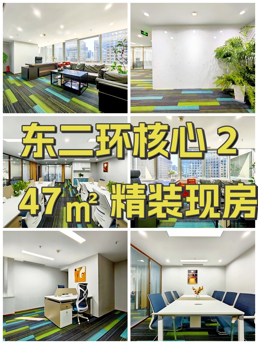 东二环核心 247㎡ 精装现房