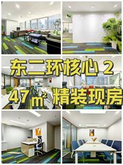 东二环核心 247㎡ 精装现房 - 缩略图 1