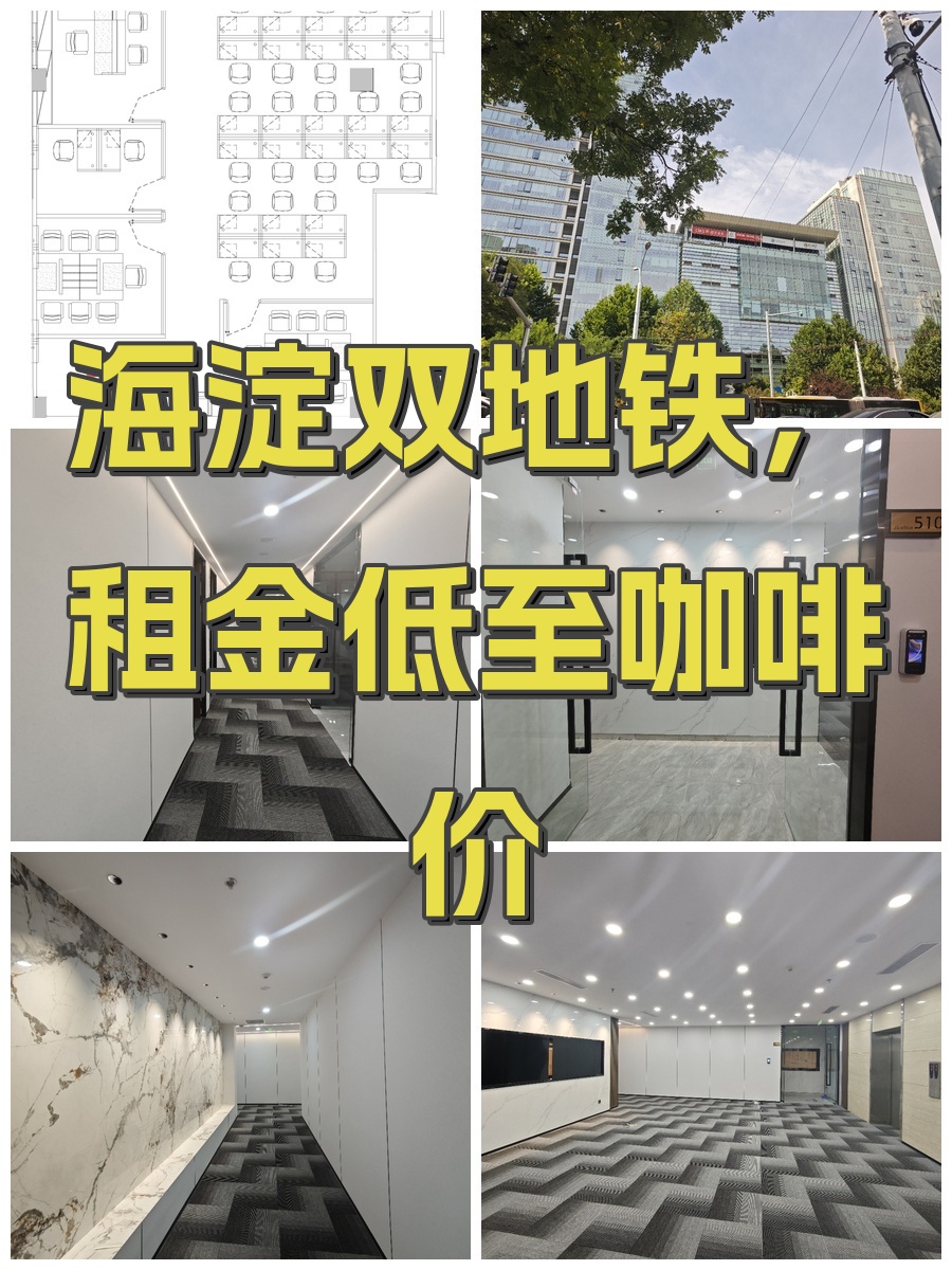 海淀双地铁，租金低至咖啡价