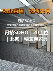 真房｜丹棱SOHO｜20工位｜北向｜精装带家具 - 缩略图 1
