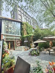 二十二院街艺术区 | 97平米 | 花园院子？ - 缩略图 3
