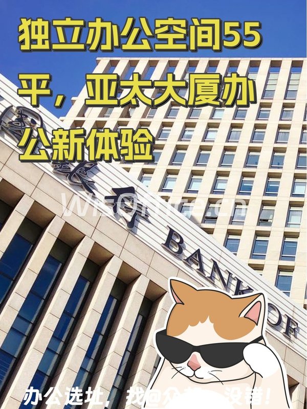 独门独户55平，亚太大厦办公新体验 - 首图