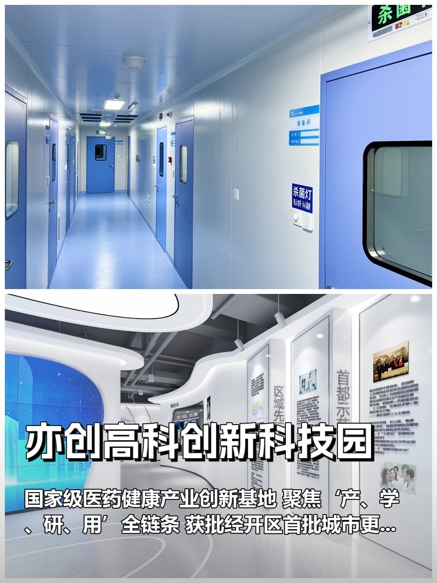 亦庄医药产业如何实现链式升级？