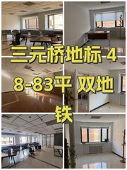 三元桥地标 48-83平 双地铁 - 缩略图 1