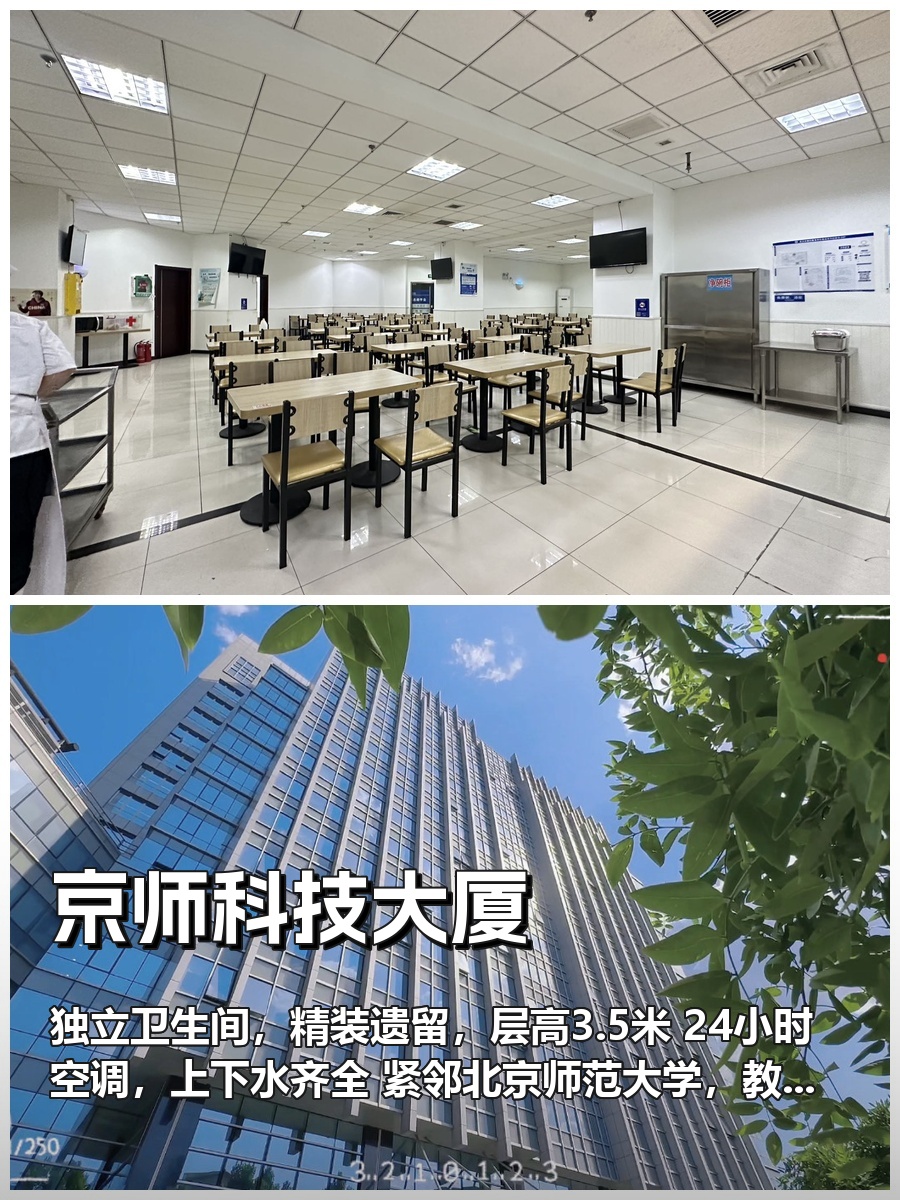 🌿窗边一束光，我的静谧工作天地