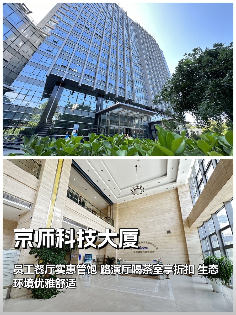 🌆城市森林里，我的灵感高地