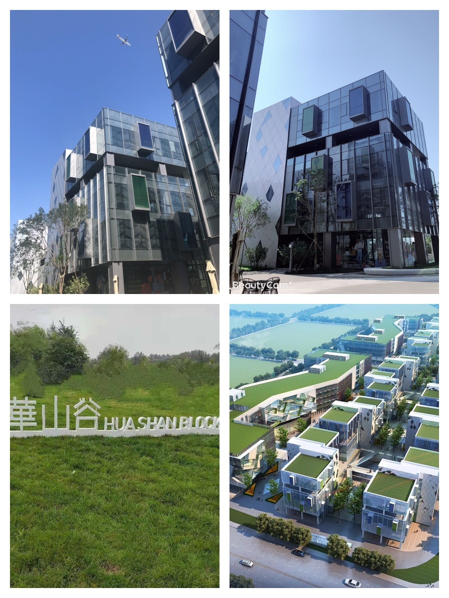 企业主疯抢：独栋配空中花园注册冠名