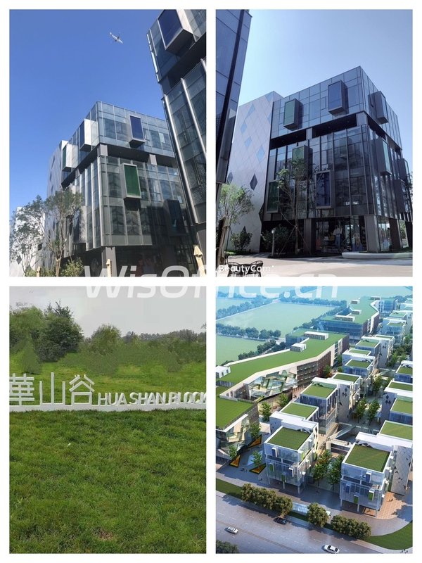 企业主疯抢：独栋配空中花园注册冠名 - 首图