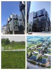 企业主疯抢：独栋配空中花园注册冠名 - 缩略图 1