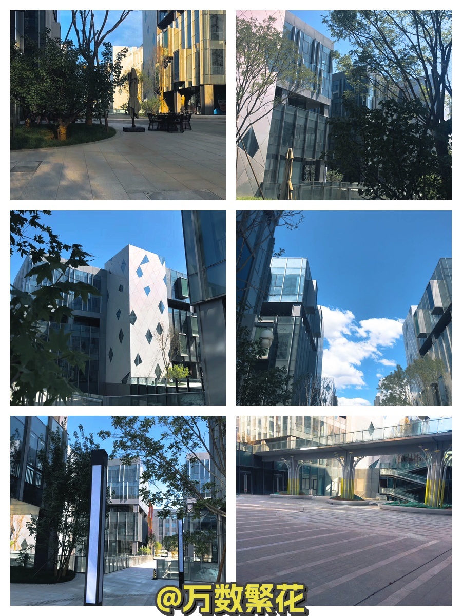 自贸区独栋4950平 五层双电梯 空中花园