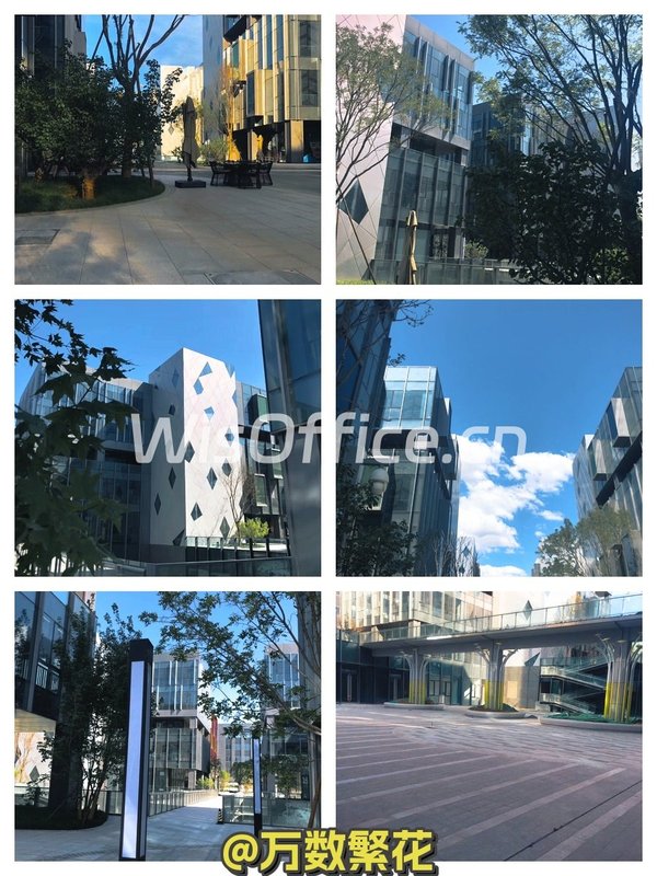 自贸区独栋4950平 五层双电梯 空中花园 - 首图