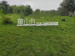 自贸区独栋4950平 空中花园露台 - 缩略图 3