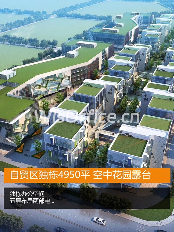 自贸区独栋4950平 空中花园露台 - 首图