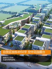 自贸区独栋4950平 空中花园露台 - 缩略图 1