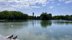 亚奥核心区仰山公园办公楼，景色绝美 - 缩略图 27