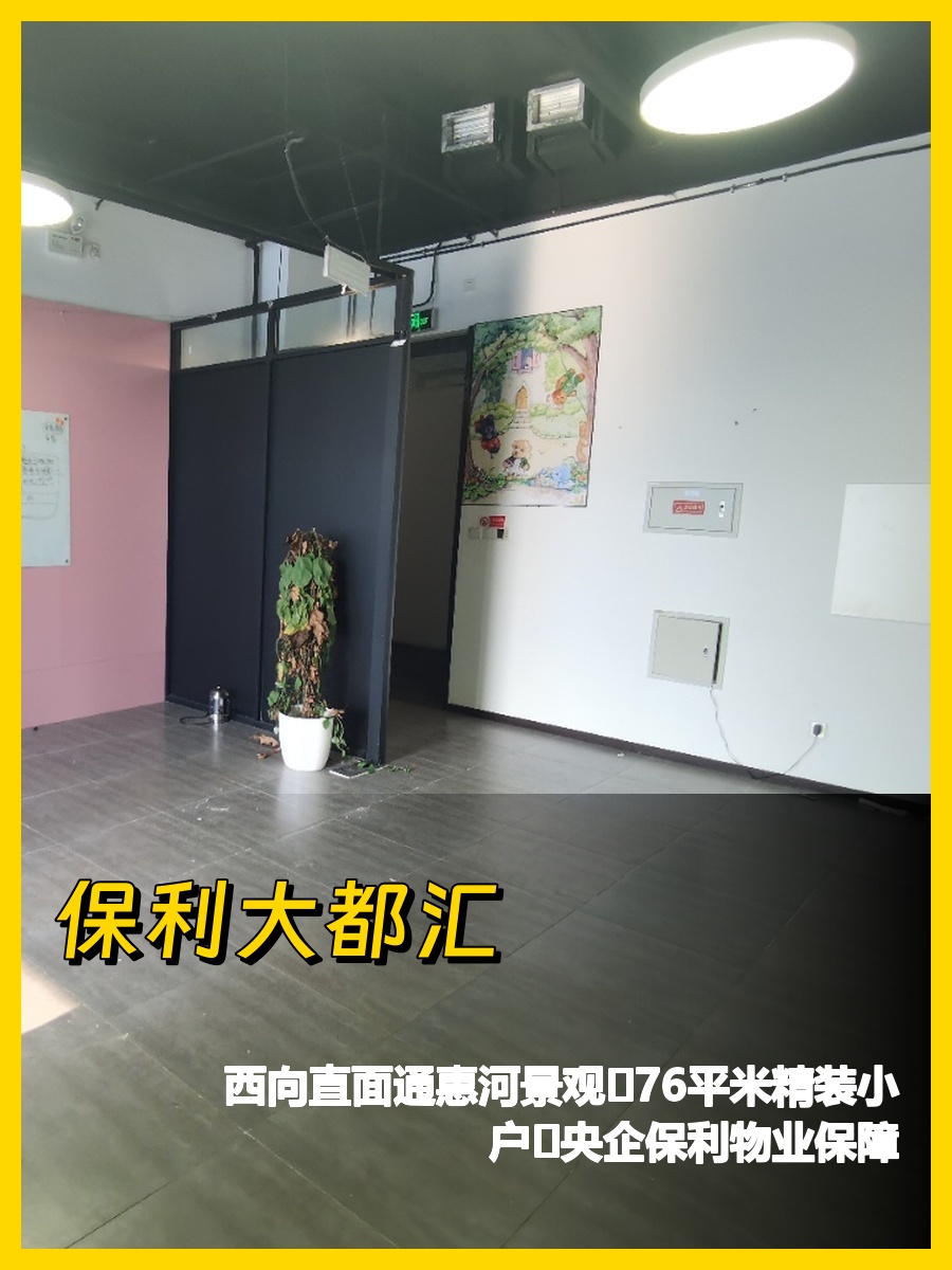 通州保利大都汇 76平西向河景办公