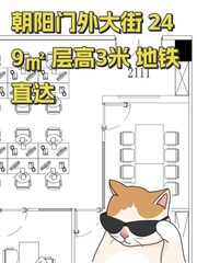 朝阳门外大街 249㎡ 层高3米 地铁直达 - 缩略图 1