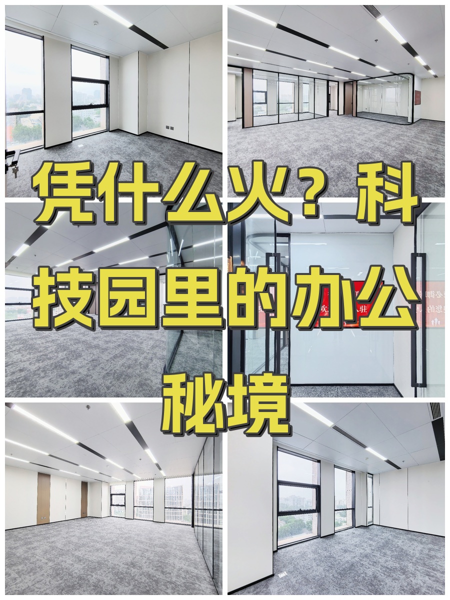 凭什么火？科技园里的办公秘境