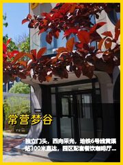 常营梦谷115平 西向地铁300米 独立门头 - 缩略图 1