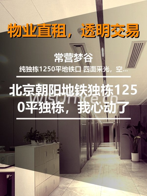 1250平独栋，我心动了 - 首图