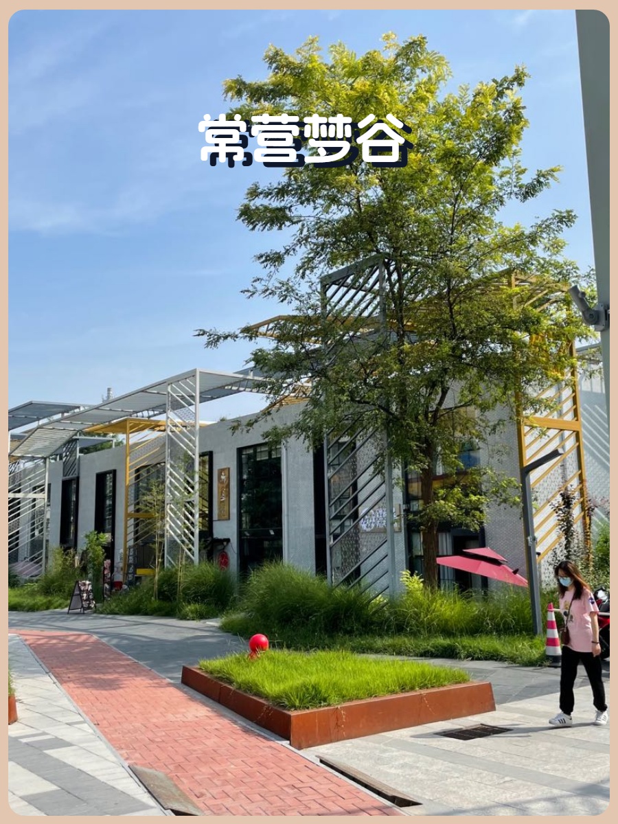 常营梦谷135平南向 双地铁 隔断16个