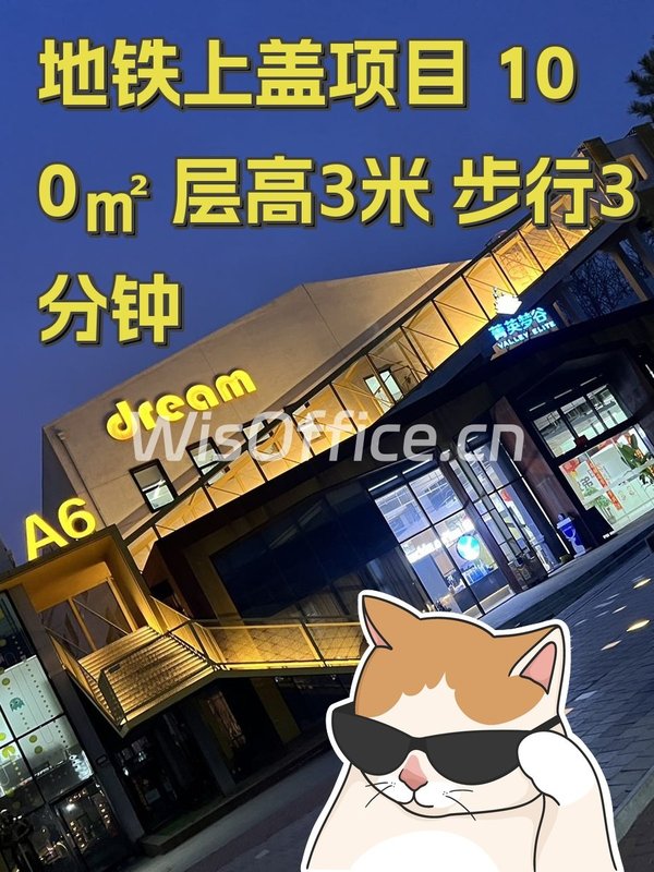 地铁上盖项目 100㎡ 层高3米 步行3分钟 - 首图