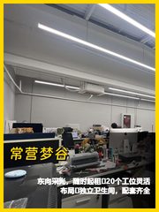 常营梦谷300平米，东向办公空间 - 缩略图 1