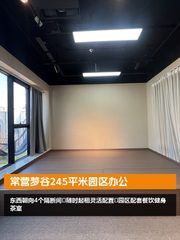 常营梦谷245平米园区办公 - 缩略图 1