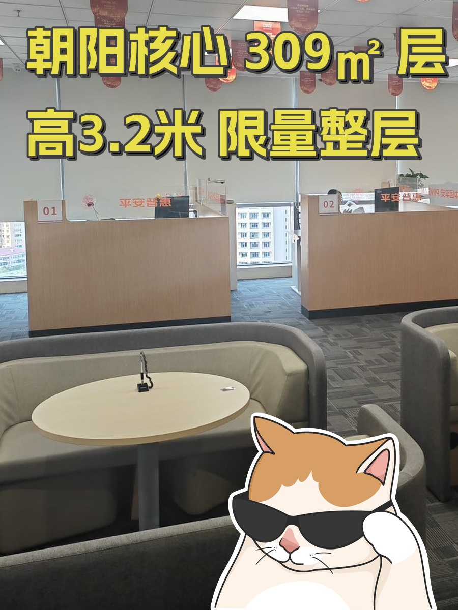 朝阳核心 309㎡ 层高3.2米 限量整层