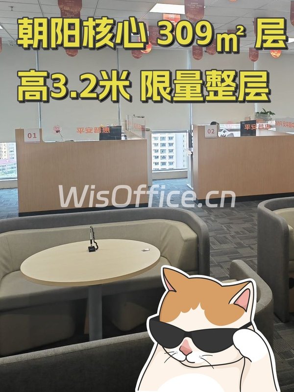 朝阳核心 309㎡ 层高3.2米 限量整层 - 首图