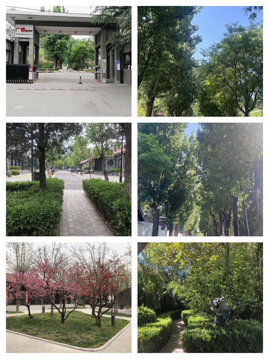 百子湾唯一独立院落 460㎡ 4.5米挑高