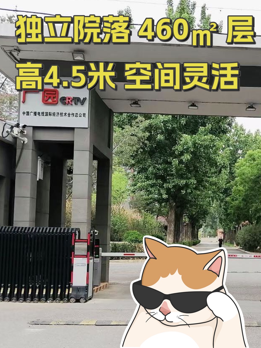 独立院落 460㎡ 层高4.5米 空间灵活